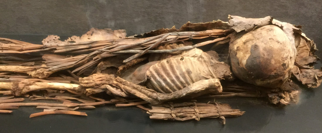 Picture af kanarisk mumie i Las Palmas de Gran Canaria, foto Kenneth Bo Jørgensen